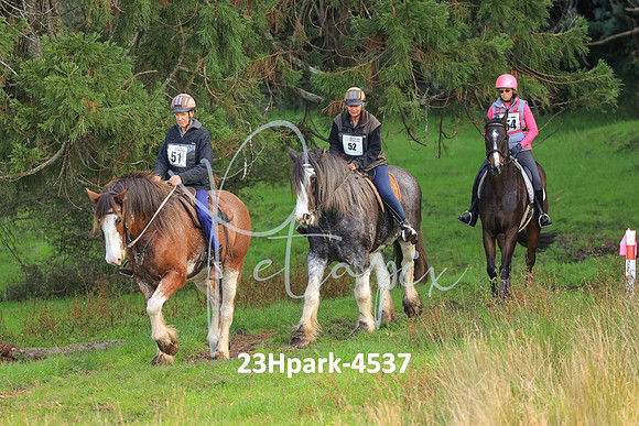 23Hpark-4537