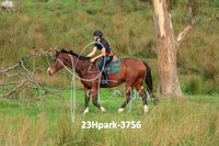 23Hpark-3756