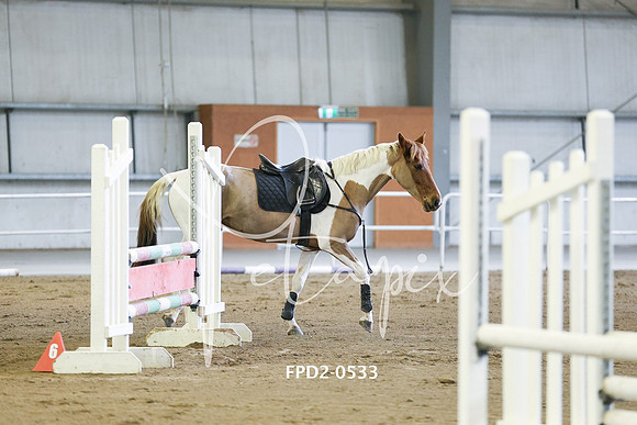 FPD2-0533