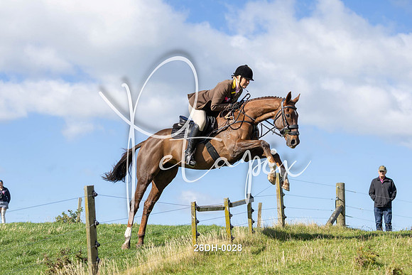 26DH-0028