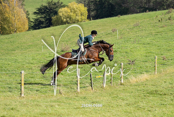 26DH-0666