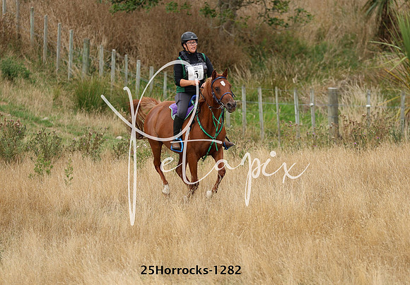 25Horrocks-1282