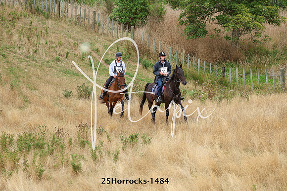 25Horrocks-1484