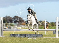 PSH2-0058