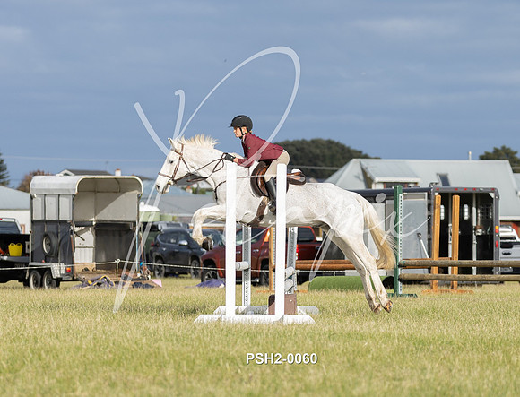 PSH2-0060