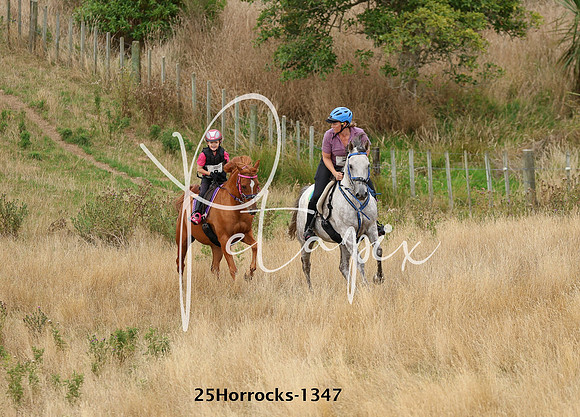 25Horrocks-1347