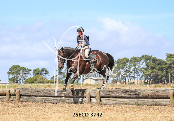 25ECD-3742