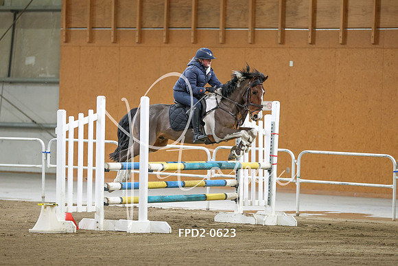 FPD2-0623