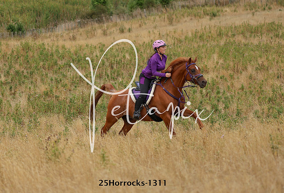 25Horrocks-1311