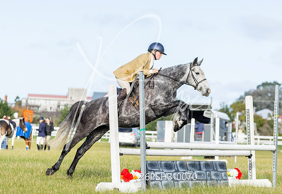 26PSH3-0070