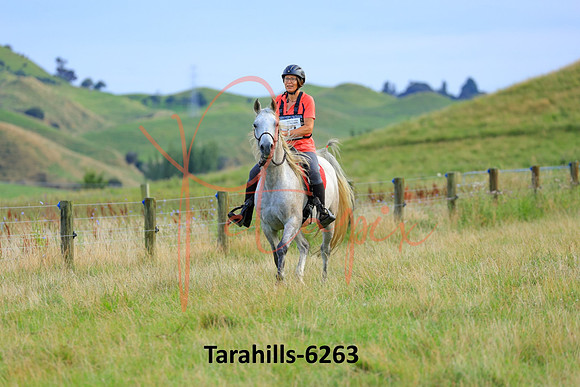 Tarahills-6263