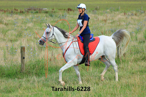 Tarahills-6228