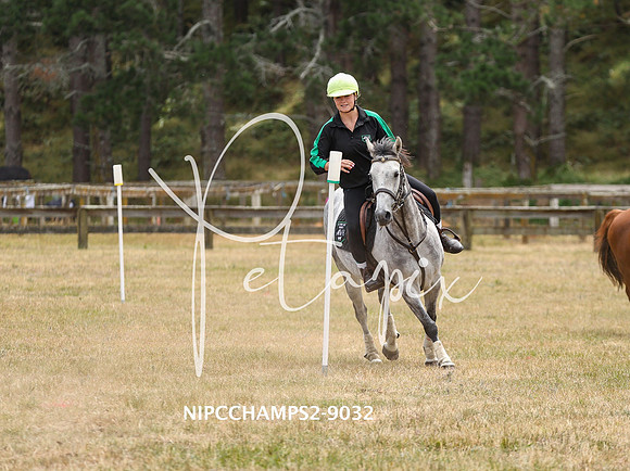 NIPCCHAMPS2-9032