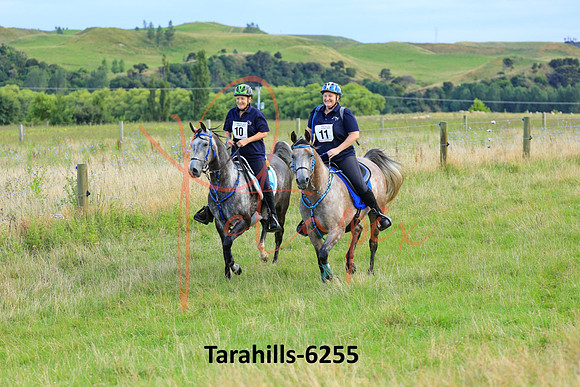 Tarahills-6255