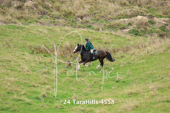 24 TaraHills-4558