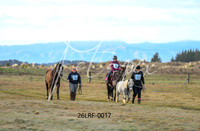 26LRF-0017