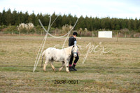 26LRF-0031