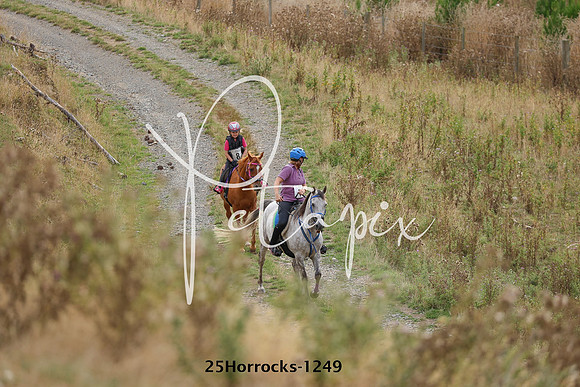 25Horrocks-1249