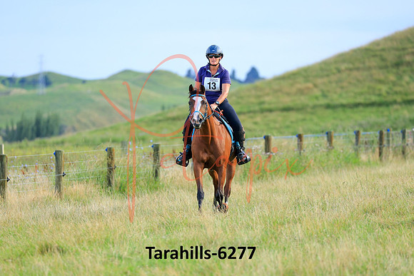 Tarahills-6277