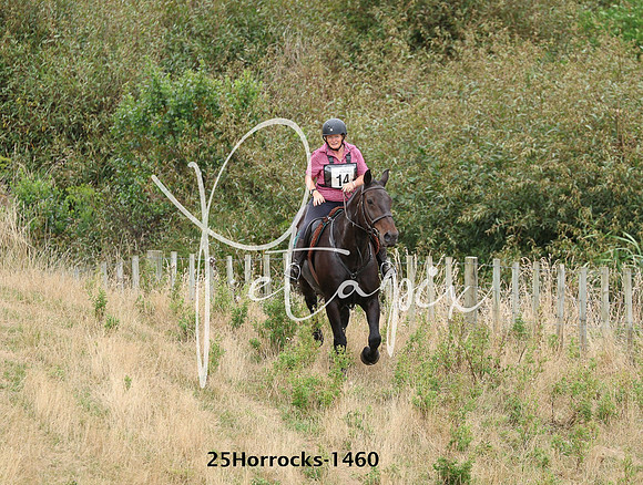 25Horrocks-1460