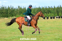 23Titoki-4460