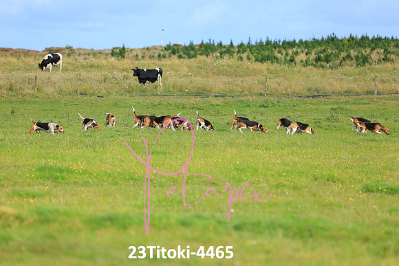 23Titoki-4465
