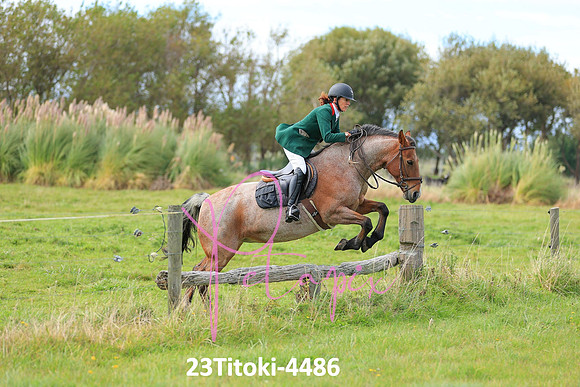 23Titoki-4486