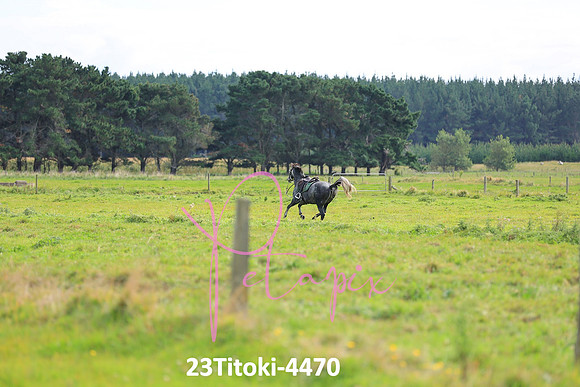 23Titoki-4470
