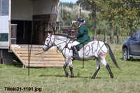 Titoki21-1101
