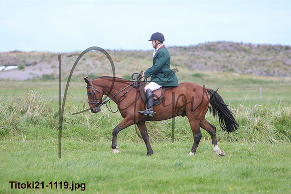 Titoki21-1119