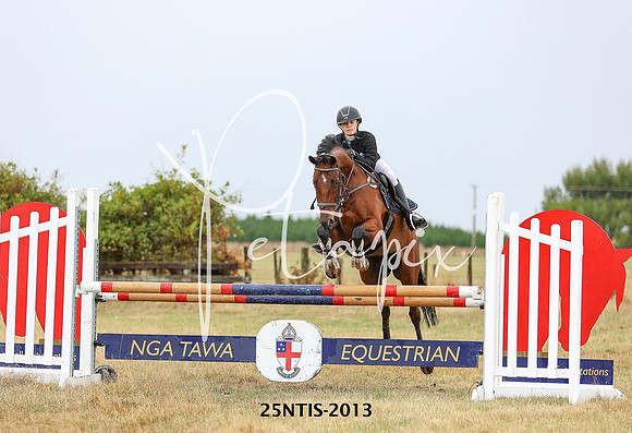 25NTIS-2013