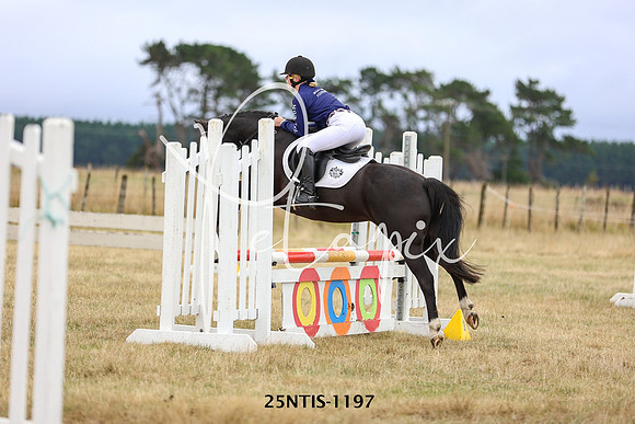 25NTIS-1197