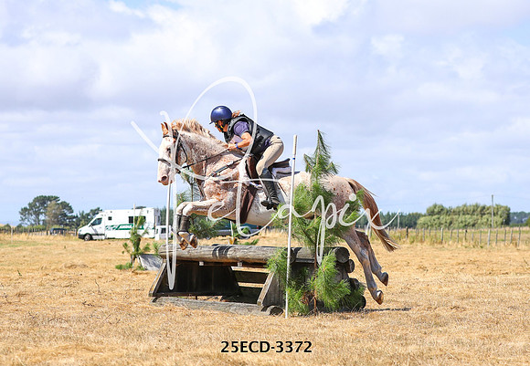 25ECD-3372