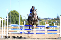23FAPIFEB-0146