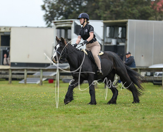 26MSHC1-0965