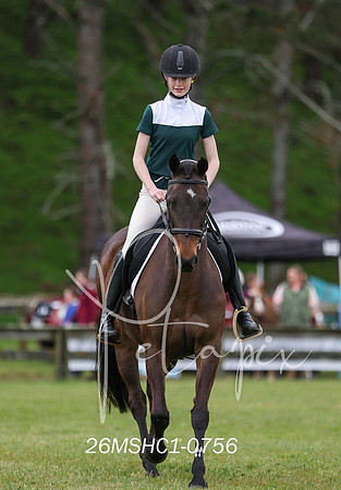 26MSHC1-0756