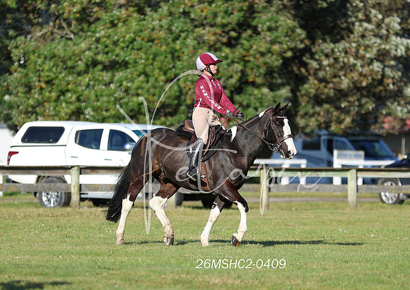 26MSHC2-0409