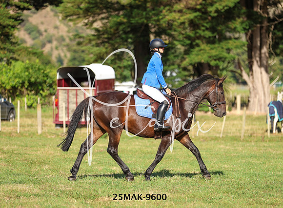 25MAK-9600