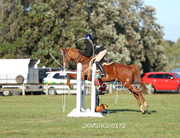 26MSHC2-0172
