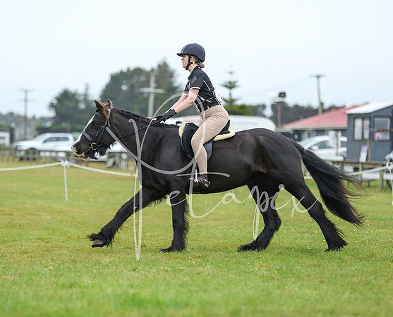 26MSHC1-0969