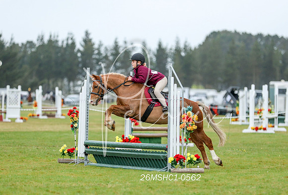 26MSHC1-0562