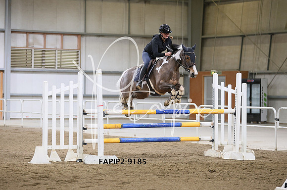 FAPIP2-9185