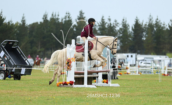 26MSHC1-1236