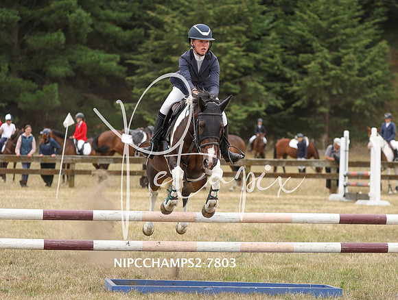 NIPCCHAMPS2-7803