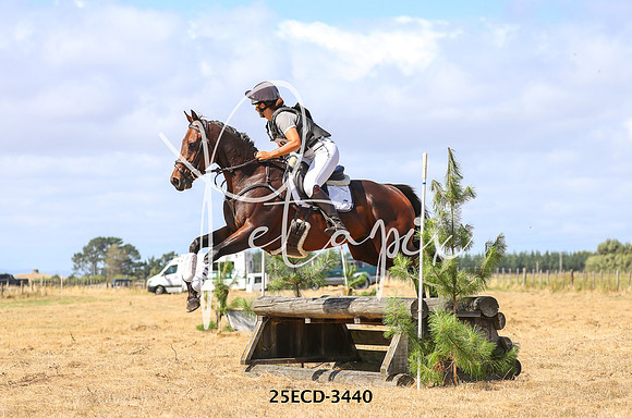 25ECD-3440