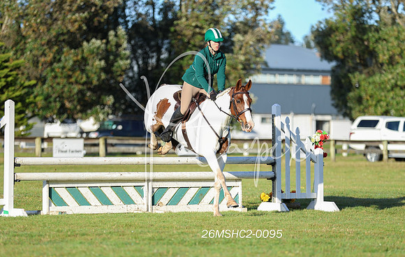 26MSHC2-0095