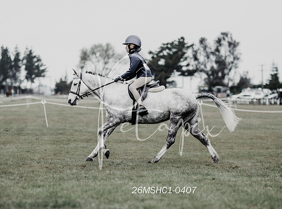 26MSHC1-0407
