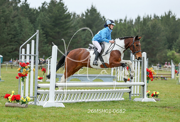 26MSHC1-0682