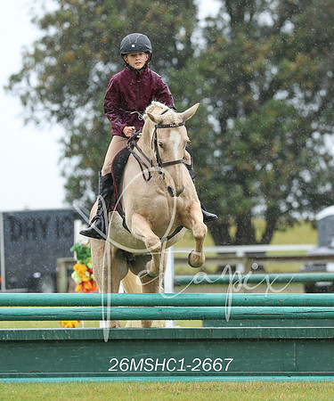 26MSHC1-2667