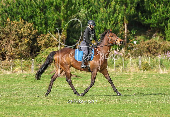 26Puke-0211